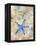 Blue Starfish-LuAnn Roberto-Framed Stretched Canvas