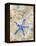 Blue Starfish-LuAnn Roberto-Framed Stretched Canvas