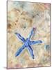 Blue Starfish-LuAnn Roberto-Mounted Art Print