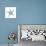 Blue Starfish-Patti Bishop-Art Print displayed on a wall