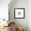 Blue Starfish-Patti Bishop-Framed Art Print displayed on a wall