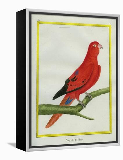 Blue-Streaked Lory-Georges-Louis Buffon-Framed Premier Image Canvas