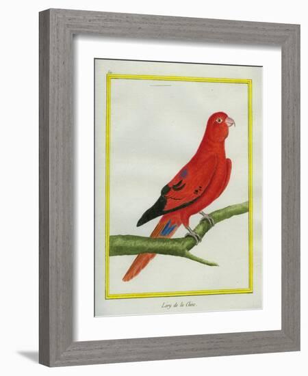 Blue-Streaked Lory-Georges-Louis Buffon-Framed Giclee Print