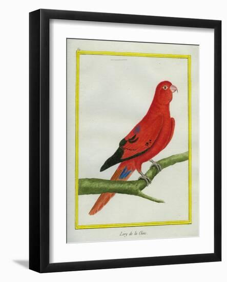 Blue-Streaked Lory-Georges-Louis Buffon-Framed Giclee Print