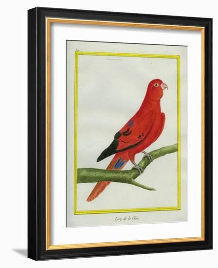 Blue-Streaked Lory-Georges-Louis Buffon-Framed Giclee Print