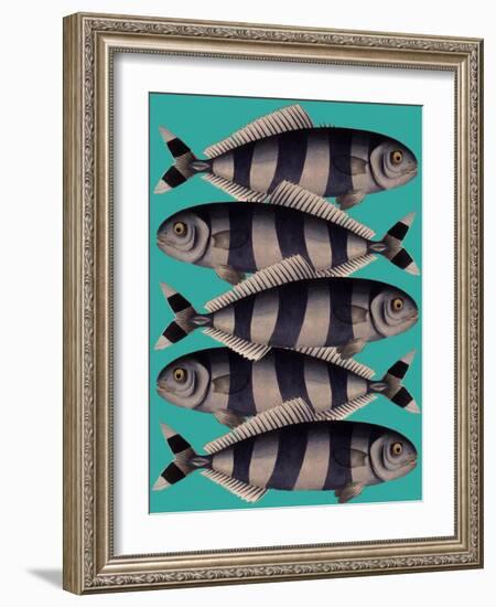 Blue Striped Fish-Fab Funky-Framed Art Print