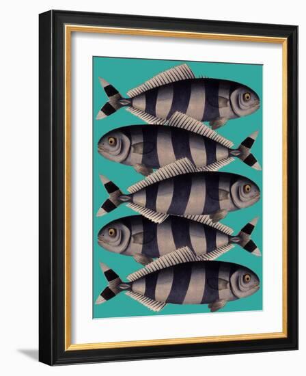 Blue Striped Fish-Fab Funky-Framed Art Print