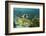 Blue Striped Grunt and Black Margate and Mahogany Snapper, Hol Chan Marine Reserve, Belize-Pete Oxford-Framed Photographic Print