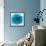 Blue Summer Petals-Katja Marzahn-Framed Giclee Print displayed on a wall