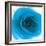 Blue Summer Petals-Katja Marzahn-Framed Giclee Print