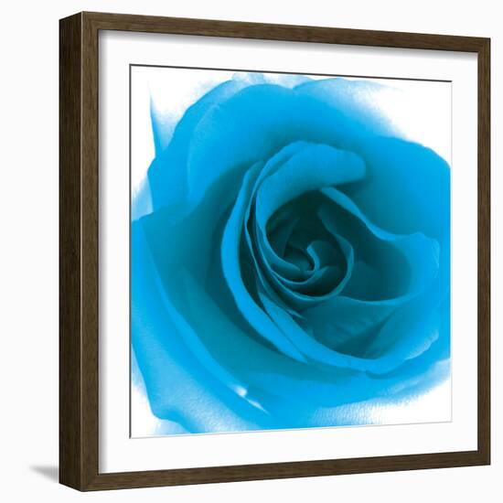 Blue Summer Petals-Katja Marzahn-Framed Giclee Print