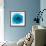 Blue Summer Petals-Katja Marzahn-Framed Giclee Print displayed on a wall