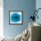 Blue Summer Petals-Katja Marzahn-Framed Giclee Print displayed on a wall
