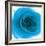 Blue Summer Petals-Katja Marzahn-Framed Giclee Print