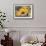 Blue Sunflowers-Richard Wallich-Framed Giclee Print displayed on a wall