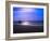 Blue Surfer II-Josh Adamski-Framed Photographic Print