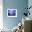 Blue Surfer II-Josh Adamski-Framed Photographic Print displayed on a wall