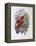 Blue, Thighed Lory-John Gould-Framed Premier Image Canvas