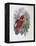 Blue, Thighed Lory-John Gould-Framed Premier Image Canvas