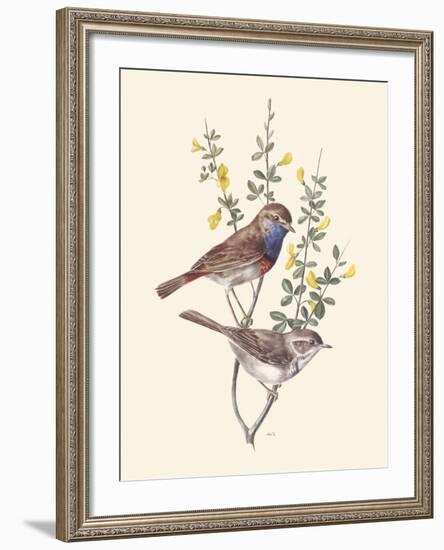 Blue Throat-Anatole Marlin-Framed Giclee Print