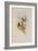 Blue-Throated Sapphironia, Sapphironia C?ruleogularis-John Gould-Framed Giclee Print