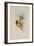 Blue-Throated Sapphironia, Sapphironia C?ruleogularis-John Gould-Framed Giclee Print