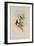 Blue-Throated Sapphironia, Sapphironia C?ruleogularis-John Gould-Framed Giclee Print