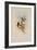 Blue-Throated Sapphironia, Sapphironia C?ruleogularis-John Gould-Framed Giclee Print