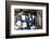 Blue Thunder (photo)-null-Framed Photo