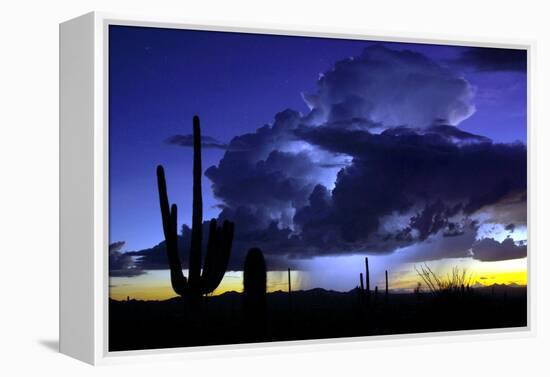 Blue Thunder-Douglas Taylor-Framed Premier Image Canvas