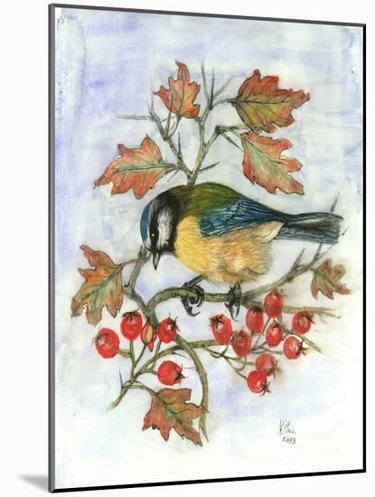Blue Tit on Hawthorn-Nell Hill-Mounted Giclee Print