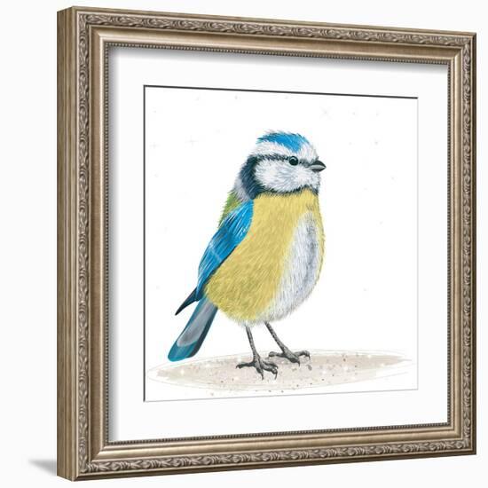 Blue Tit on the Ground-Milovelen-Framed Art Print