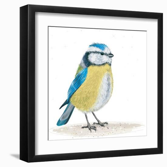 Blue Tit on the Ground-Milovelen-Framed Art Print