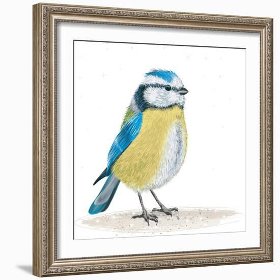 Blue Tit on the Ground-Milovelen-Framed Art Print