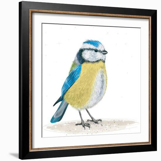 Blue Tit on the Ground-Milovelen-Framed Art Print