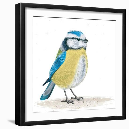 Blue Tit on the Ground-Milovelen-Framed Art Print