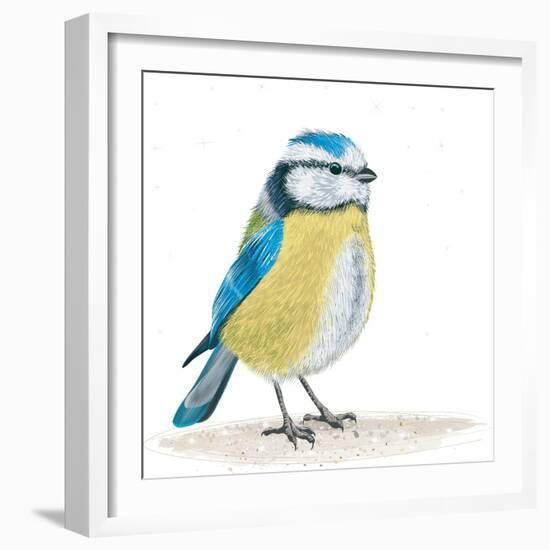 Blue Tit on the Ground-Milovelen-Framed Art Print