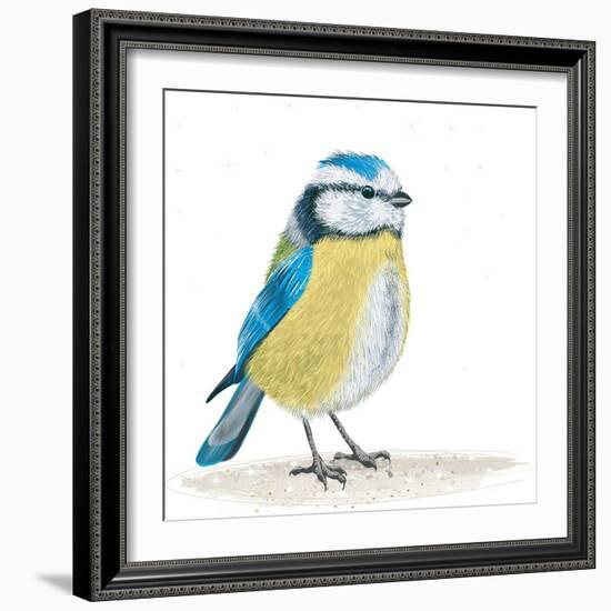 Blue Tit on the Ground-Milovelen-Framed Art Print