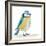 Blue Tit on the Ground-Milovelen-Framed Art Print