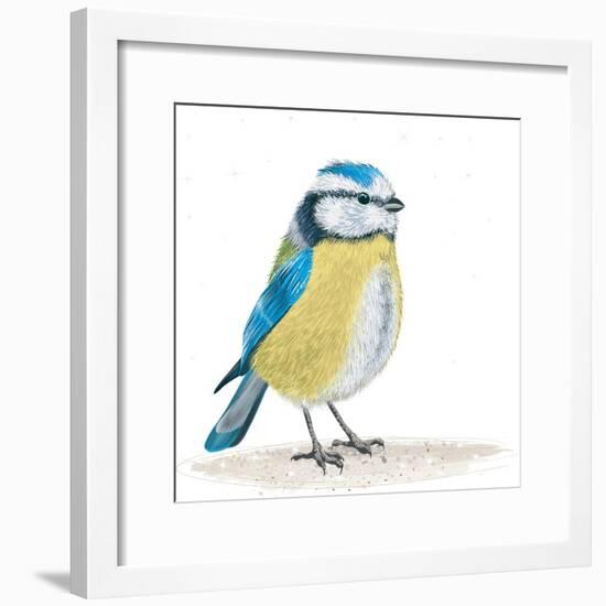 Blue Tit on the Ground-Milovelen-Framed Premium Giclee Print