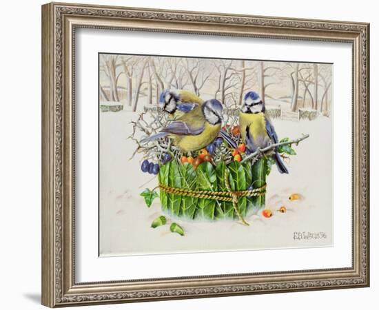 Blue Tits in Leaf Nest, 1996-E.B. Watts-Framed Giclee Print