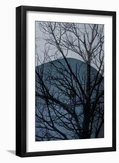 Blue Tree 2-Urban Epiphany-Framed Art Print