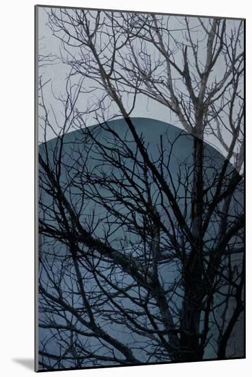 Blue Tree 2-Urban Epiphany-Mounted Art Print