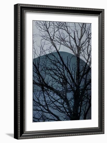 Blue Tree 2-Urban Epiphany-Framed Art Print