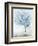 Blue Tree I-Ian C-Framed Premium Giclee Print