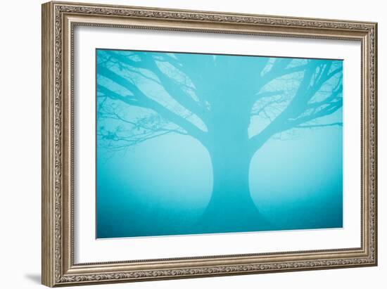 Blue Tree in Fog-Andy Bell-Framed Photographic Print