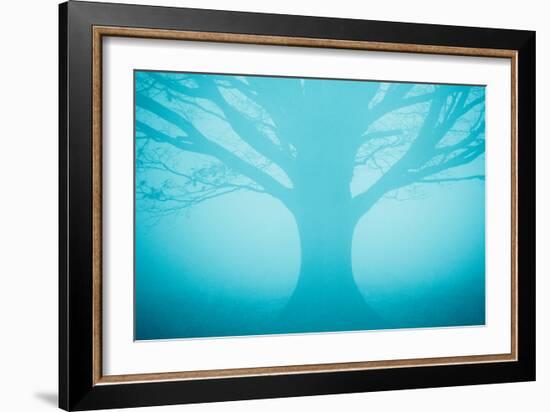 Blue Tree in Fog-Andy Bell-Framed Photographic Print