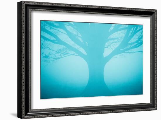 Blue Tree in Fog-Andy Bell-Framed Photographic Print