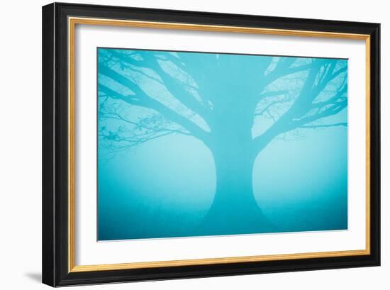 Blue Tree in Fog-Andy Bell-Framed Photographic Print