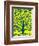 Blue Tree of Life-Gustav Klimt-Framed Premium Giclee Print